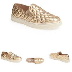 ISO Size 8 Steve Madden Ecentrcq Slip Ons Sneakers